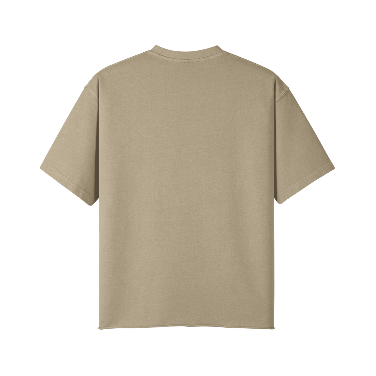 0-Y25-Back Side